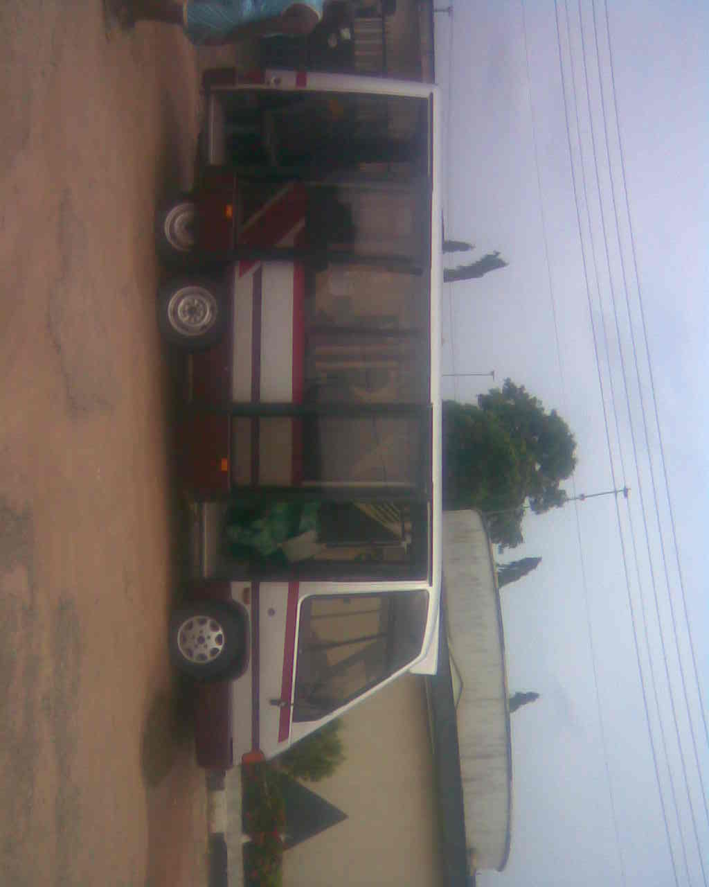 Bus